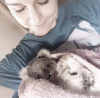 Love for Animals 3
